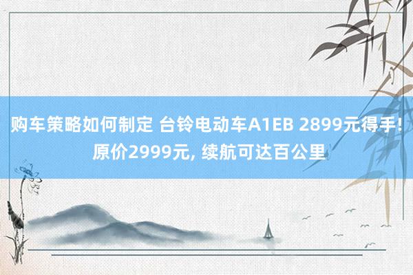 购车策略如何制定 台铃电动车A1EB 2899元得手! 原价2999元, 续航可达百公里