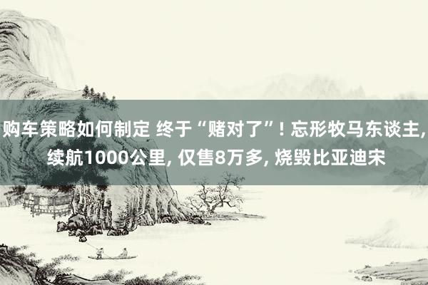 购车策略如何制定 终于“赌对了”! 忘形牧马东谈主, 续航1000公里, 仅售8万多, 烧毁比亚迪宋