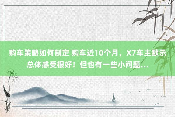 购车策略如何制定 购车近10个月，X7车主默示总体感受很好！但也有一些小问题…