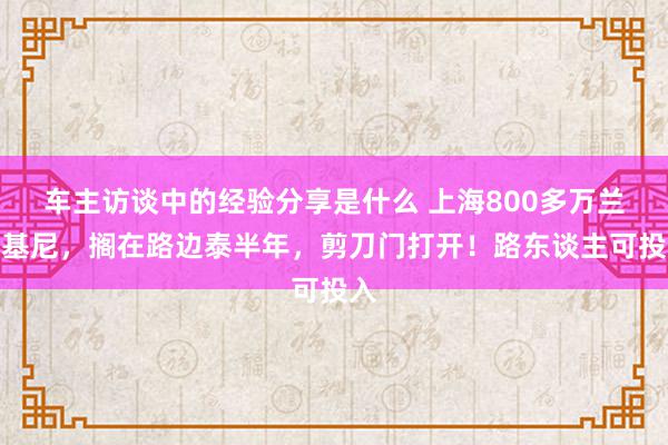 车主访谈中的经验分享是什么 上海800多万兰博基尼，搁在路边泰半年，剪刀门打开！路东谈主可投入