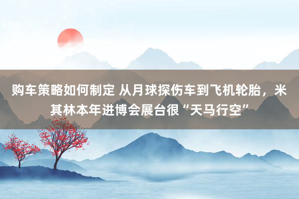 购车策略如何制定 从月球探伤车到飞机轮胎，米其林本年进博会展台很“天马行空”