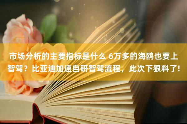 市场分析的主要指标是什么 6万多的海鸥也要上智驾？比亚迪加速自研智驾流程，此次下狠料了!