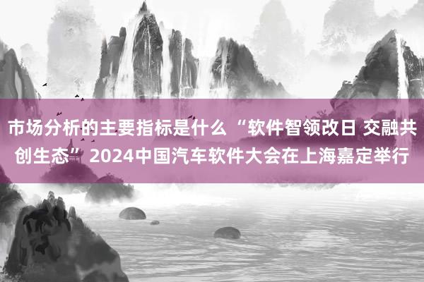 市场分析的主要指标是什么 “软件智领改日 交融共创生态” 2024中国汽车软件大会在上海嘉定举行