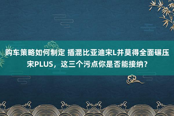 购车策略如何制定 插混比亚迪宋L并莫得全面碾压宋PLUS，这三个污点你是否能接纳？