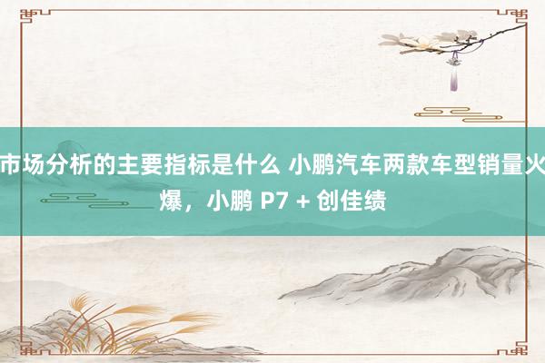 市场分析的主要指标是什么 小鹏汽车两款车型销量火爆，小鹏 P7 + 创佳绩