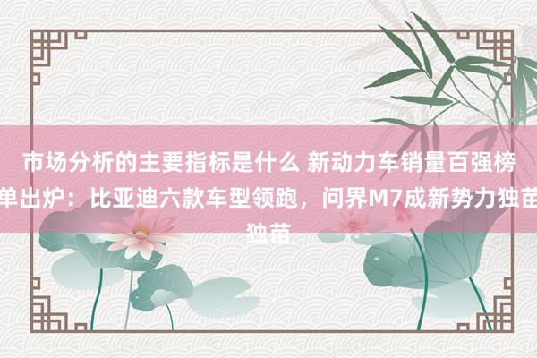 市场分析的主要指标是什么 新动力车销量百强榜单出炉：比亚迪六款车型领跑，问界M7成新势力独苗