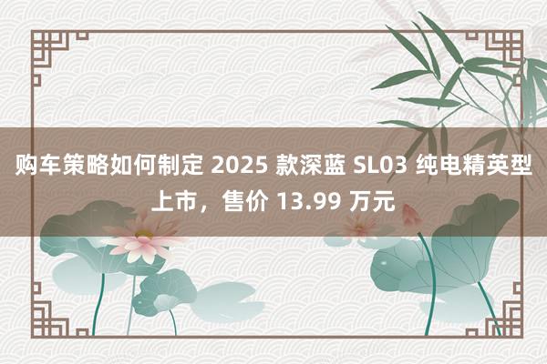 购车策略如何制定 2025 款深蓝 SL03 纯电精英型上市，售价 13.99 万元