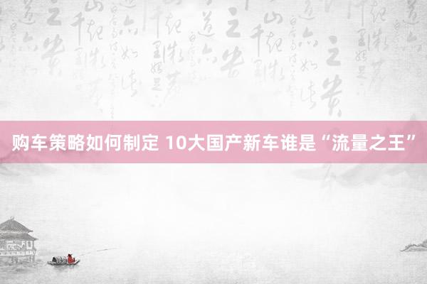 购车策略如何制定 10大国产新车谁是“流量之王”