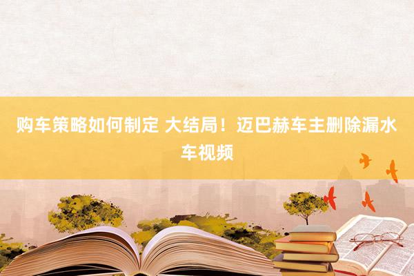 购车策略如何制定 大结局！迈巴赫车主删除漏水车视频