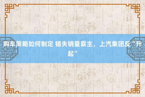 购车策略如何制定 错失销量霸主，上汽集团反“升起”