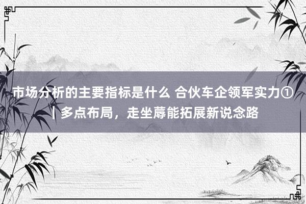 市场分析的主要指标是什么 合伙车企领军实力①｜多点布局，走坐蓐能拓展新说念路