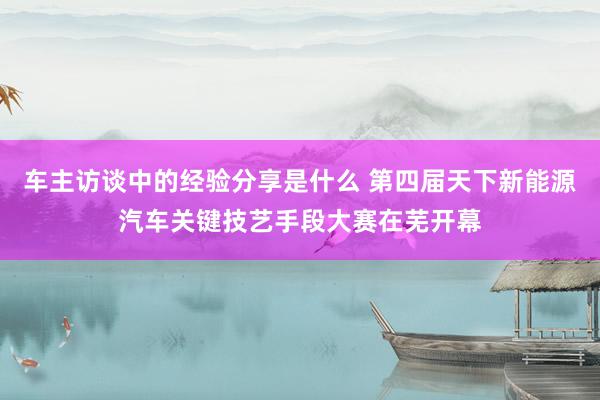 车主访谈中的经验分享是什么 第四届天下新能源汽车关键技艺手段大赛在芜开幕