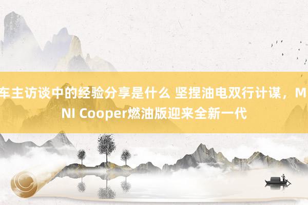 车主访谈中的经验分享是什么 坚捏油电双行计谋，MINI Cooper燃油版迎来全新一代