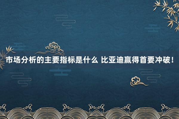 市场分析的主要指标是什么 比亚迪赢得首要冲破！