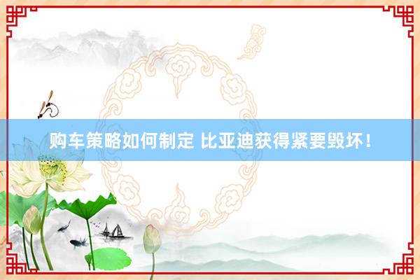 购车策略如何制定 比亚迪获得紧要毁坏！