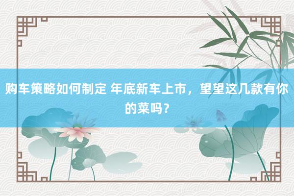 购车策略如何制定 年底新车上市，望望这几款有你的菜吗？