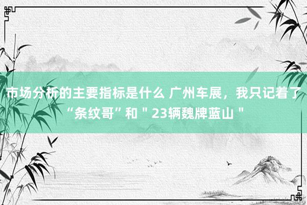 市场分析的主要指标是什么 广州车展，我只记着了“条纹哥”和＂23辆魏牌蓝山＂