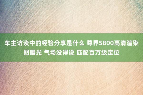 车主访谈中的经验分享是什么 尊界S800高清渲染图曝光 气场没得说 匹配百万级定位