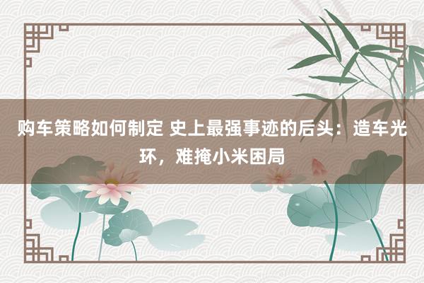 购车策略如何制定 史上最强事迹的后头：造车光环，难掩小米困局