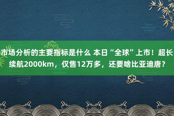 市场分析的主要指标是什么 本日“全球”上市！超长续航2000km，仅售12万多，还要啥比亚迪唐？