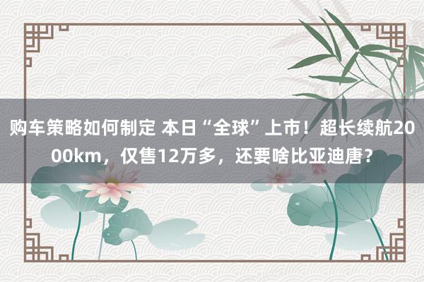 购车策略如何制定 本日“全球”上市！超长续航2000km，仅售12万多，还要啥比亚迪唐？