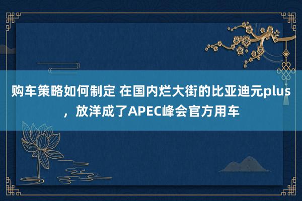 购车策略如何制定 在国内烂大街的比亚迪元plus，放洋成了APEC峰会官方用车