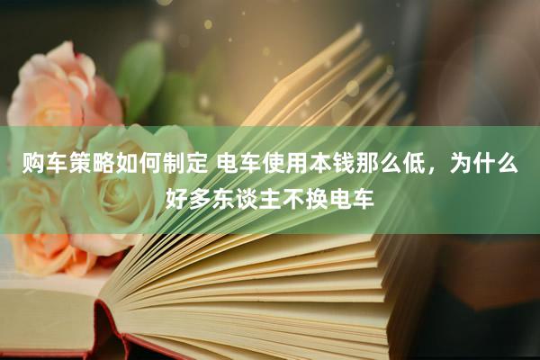 购车策略如何制定 电车使用本钱那么低，为什么好多东谈主不换电车