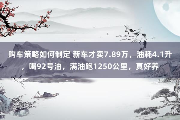 购车策略如何制定 新车才卖7.89万，油耗4.1升，喝92号油，满油跑1250公里，真好养