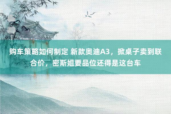 购车策略如何制定 新款奥迪A3，掀桌子卖到联合价，密斯姐要品位还得是这台车