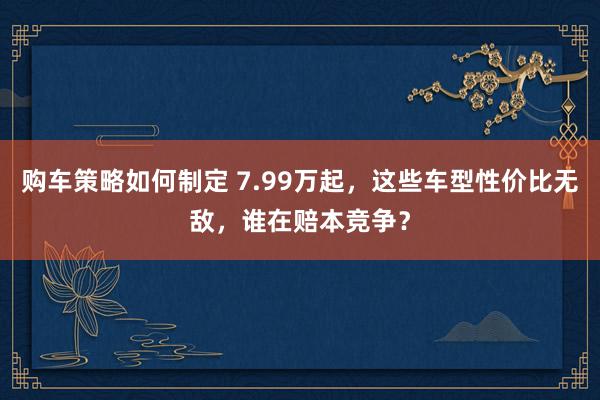 购车策略如何制定 7.99万起，这些车型性价比无敌，谁在赔本竞争？