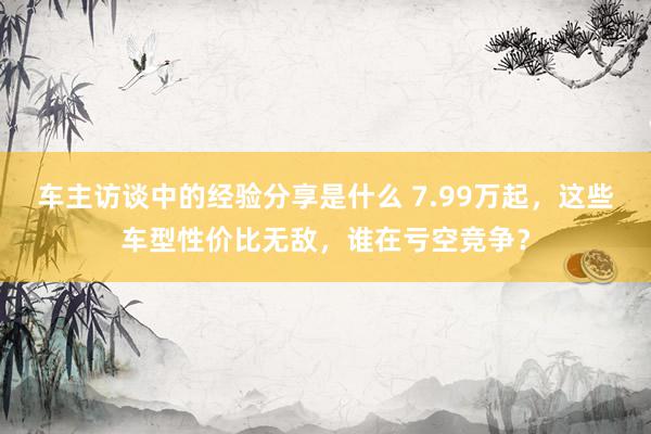 车主访谈中的经验分享是什么 7.99万起，这些车型性价比无敌，谁在亏空竞争？