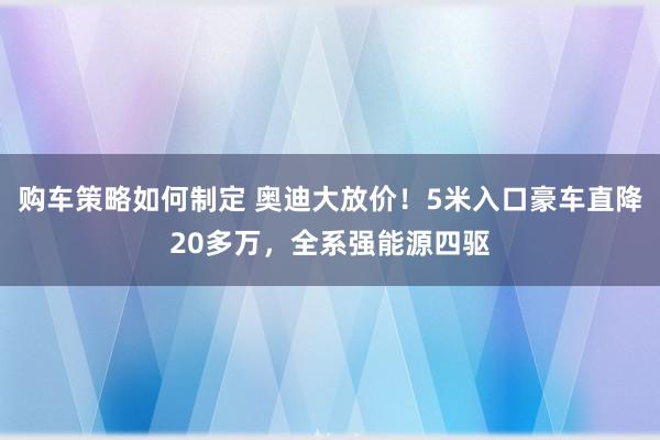 购车策略如何制定 奥迪大放价！5米入口豪车直降20多万，全系强能源四驱