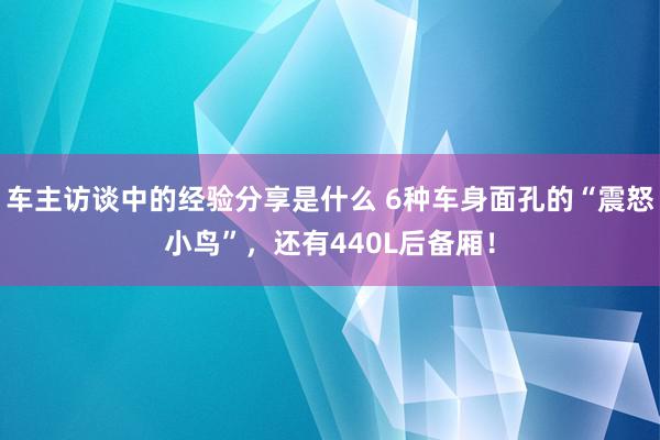 车主访谈中的经验分享是什么 6种车身面孔的“震怒小鸟”，还有440L后备厢！