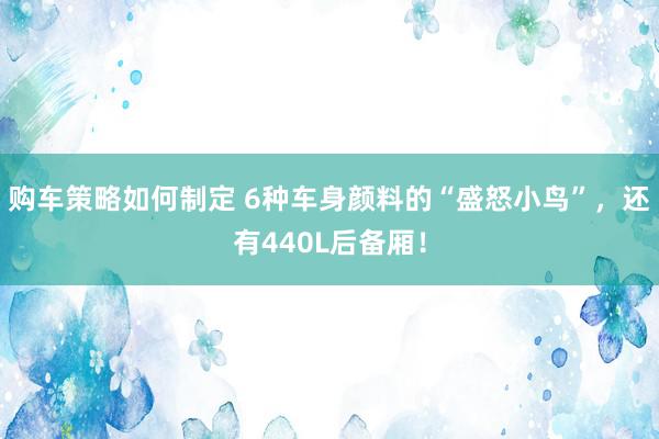 购车策略如何制定 6种车身颜料的“盛怒小鸟”，还有440L后备厢！