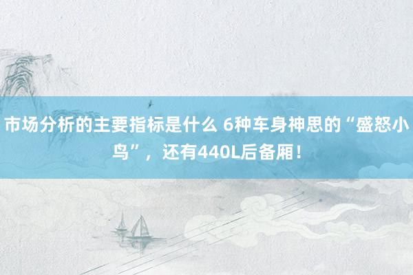 市场分析的主要指标是什么 6种车身神思的“盛怒小鸟”，还有440L后备厢！