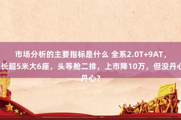 市场分析的主要指标是什么 全系2.0T+9AT，车长超5米大6座，头等舱二排，上市降10万，但没丹心？