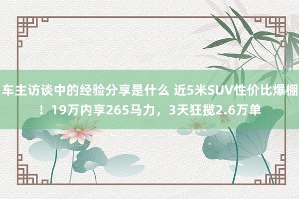 车主访谈中的经验分享是什么 近5米SUV性价比爆棚！19万内享265马力，3天狂揽2.6万单