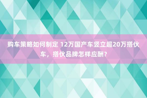 购车策略如何制定 12万国产车竖立超20万搭伙车，搭伙品牌怎样应酬？