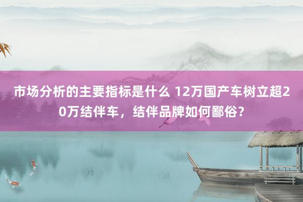 市场分析的主要指标是什么 12万国产车树立超20万结伴车，结伴品牌如何鄙俗？