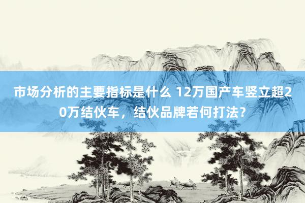 市场分析的主要指标是什么 12万国产车竖立超20万结伙车，结伙品牌若何打法？