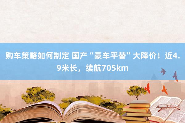 购车策略如何制定 国产“豪车平替”大降价！近4.9米长，续航705km