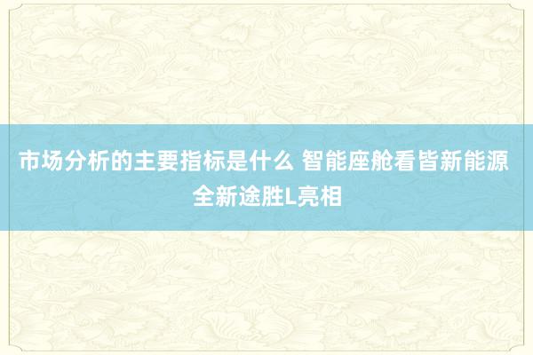 市场分析的主要指标是什么 智能座舱看皆新能源 全新途胜L亮相