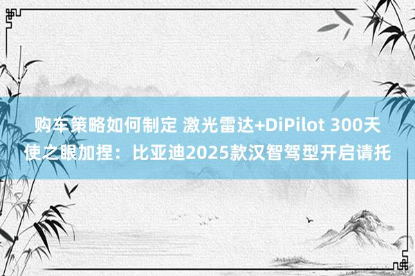 购车策略如何制定 激光雷达+DiPilot 300天使之眼加捏：比亚迪2025款汉智驾型开启请托