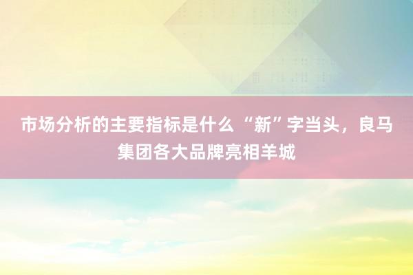 市场分析的主要指标是什么 “新”字当头，良马集团各大品牌亮相羊城