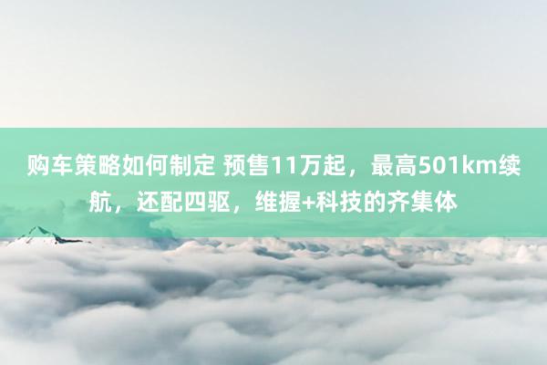 购车策略如何制定 预售11万起，最高501km续航，还配四驱，维握+科技的齐集体