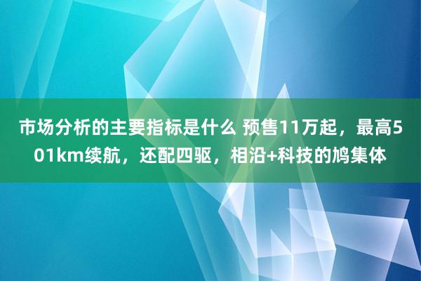 市场分析的主要指标是什么 预售11万起，最高501km续航，还配四驱，相沿+科技的鸠集体