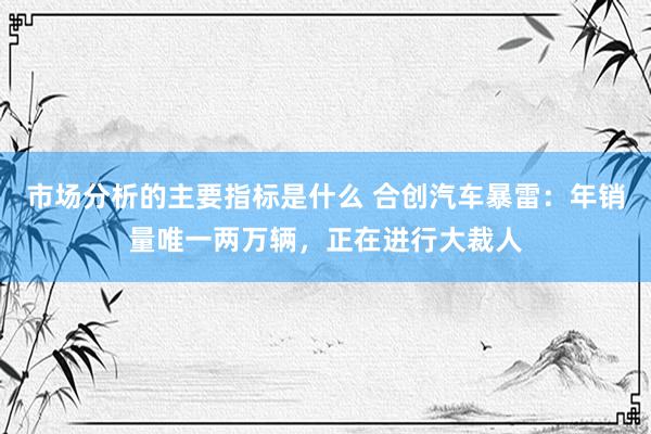 市场分析的主要指标是什么 合创汽车暴雷：年销量唯一两万辆，正在进行大裁人