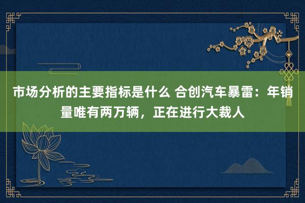 市场分析的主要指标是什么 合创汽车暴雷：年销量唯有两万辆，正在进行大裁人