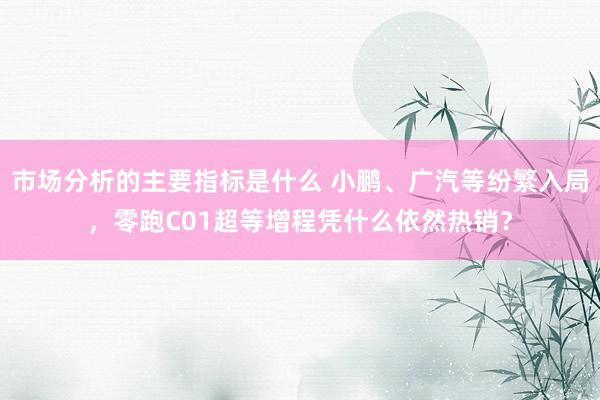 市场分析的主要指标是什么 小鹏、广汽等纷繁入局，零跑C01超等增程凭什么依然热销？