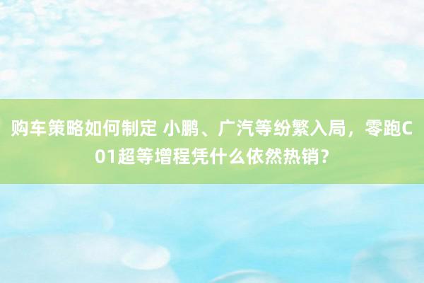 购车策略如何制定 小鹏、广汽等纷繁入局，零跑C01超等增程凭什么依然热销？